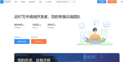 程序員如何利用軟件外包服務(wù)開展副業(yè)